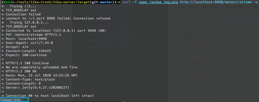 Tika server file detection!