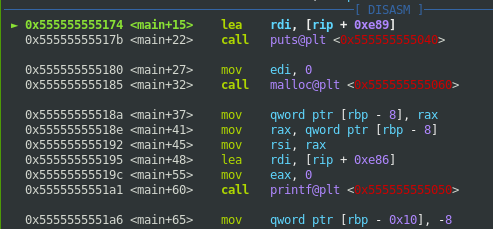 GDB Disasm information